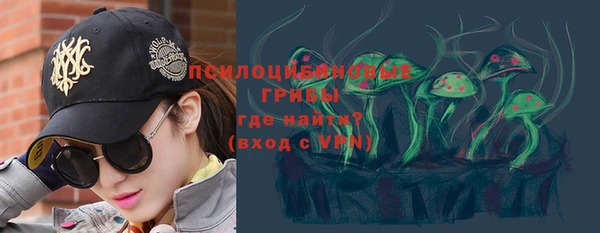 гидропоника Медногорск