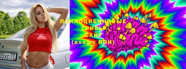 Альфа ПВП Вяземский