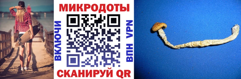 где купить наркоту  Иланский  Галлюциногенные грибы GOLDEN TEACHER 