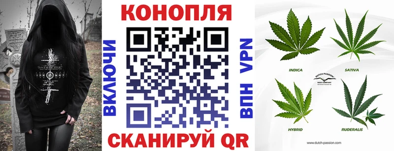 Конопля OG Kush  хочу наркоту  Иланский 